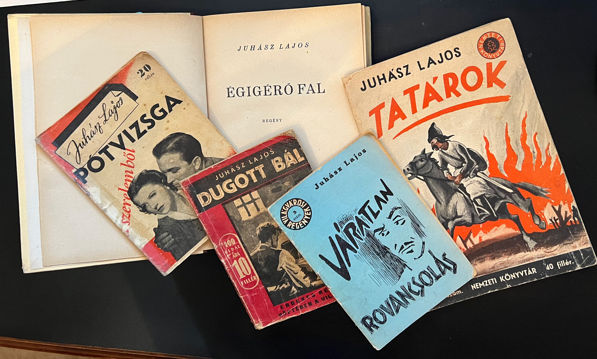Books by Lajos Juhasz